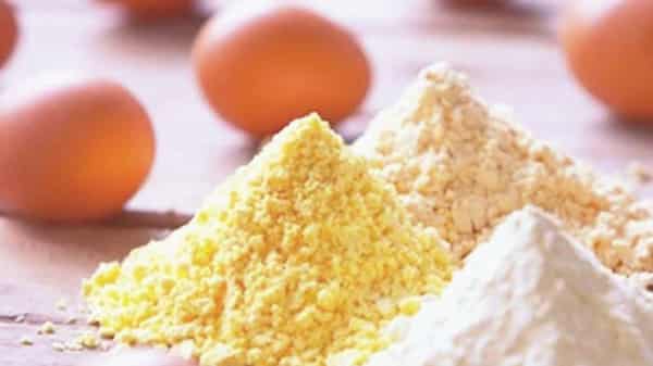 Egg-Powder-1