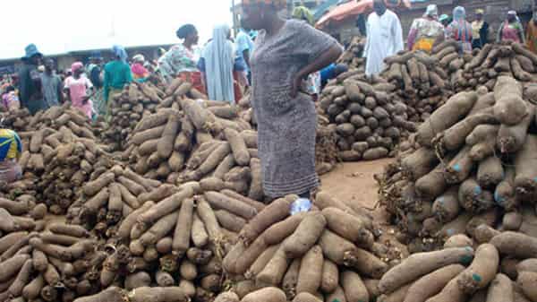 yam-market