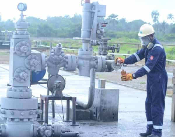 DSC_8088-1024×678-573×447