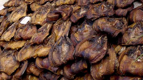 Dry-fish