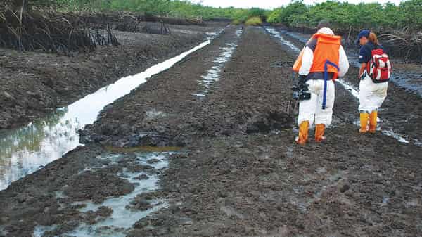 Ogoni-cleanup