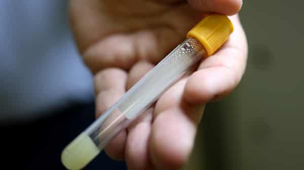 Washington DC District Government Offers Free Antibody Tests For COVID-19