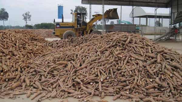 A-cassava-processing-factory