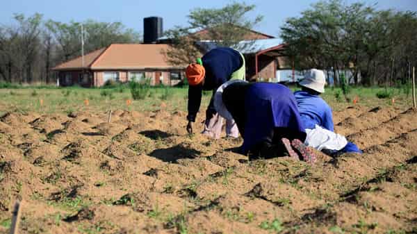 1-RKIbui_HjEFF7MeWGAfoTQ