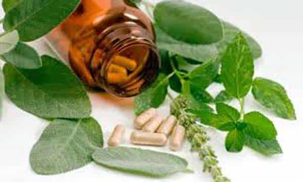 download-phytomedicines