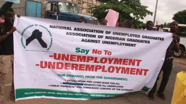 Unemployed-graduates