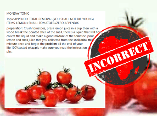 appendix_incorrect-768×569