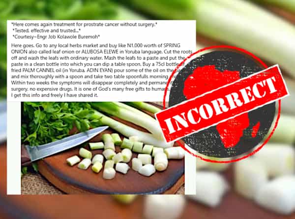 springonion_incorrect-768×569