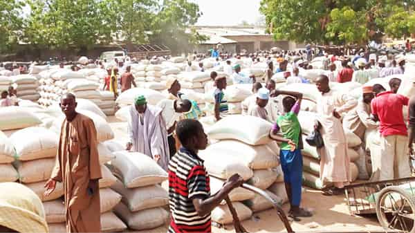 A-grains-market-in-Damaturu.