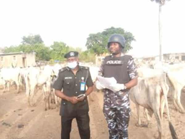 IMG_20210326_172856_589-300×225