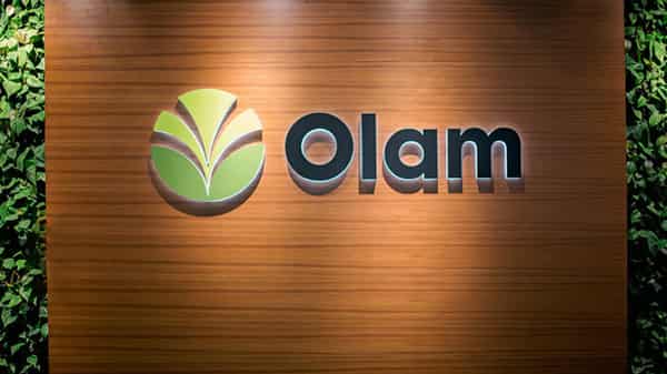 Olam