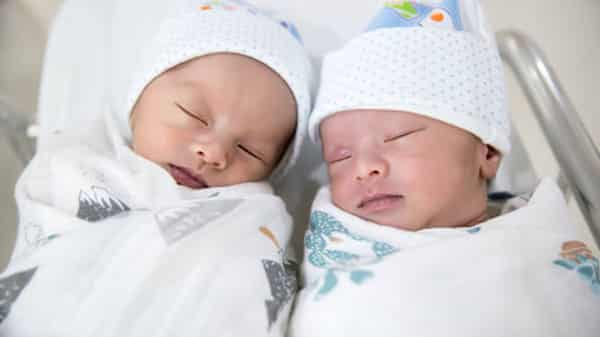 Twins babies