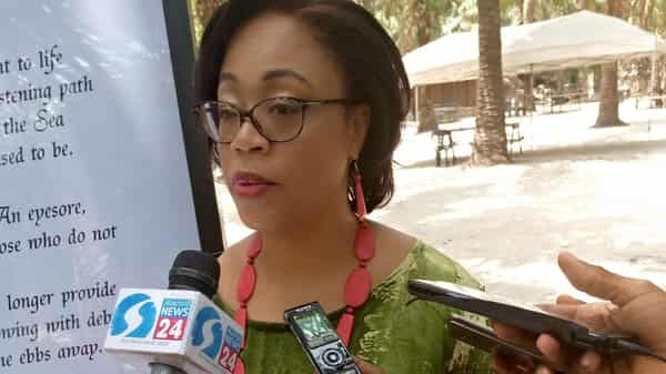 _Dawn-Project,-Dr.-Pamela-Ajayi