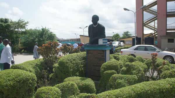 11053202_10152816922686507_8916689956398817145_n (1)