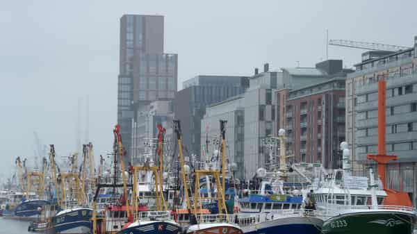 Brexit protest to increase the share of fishing quotas in Irish waters, in Dublin