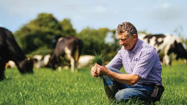 bordbia imgGreen Africa