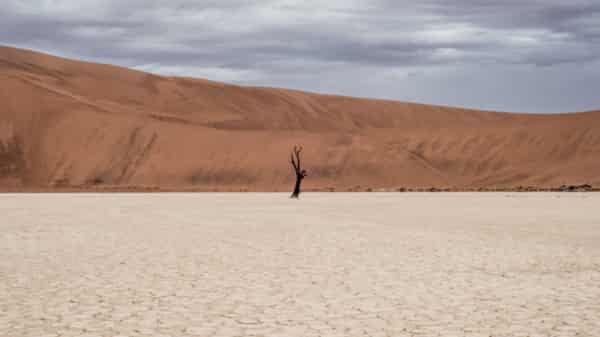 International Atomic Energy Agency Supports Improved Aquifer Management in Climate Change Affected Namibia