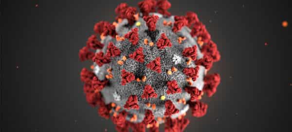 Coronavirus: UN Health Agency Urges Support for New Covid-19 Origins Studies
