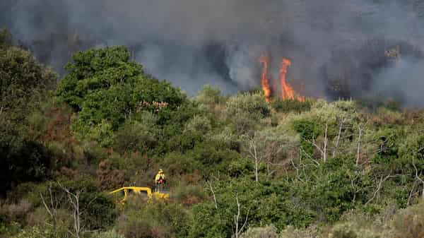 Wildfire in Spain’s Costa Brava forces hundreds from their homes