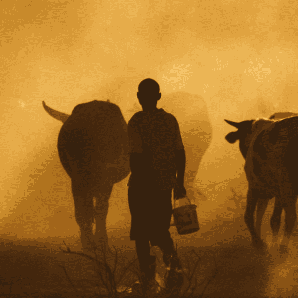 Partnership for data-driven early response to hunger launched