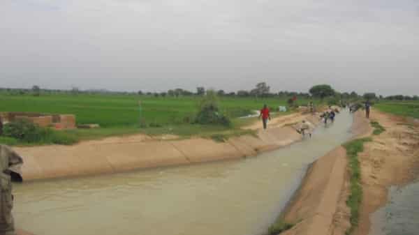 Tiga Dam irrigation channels