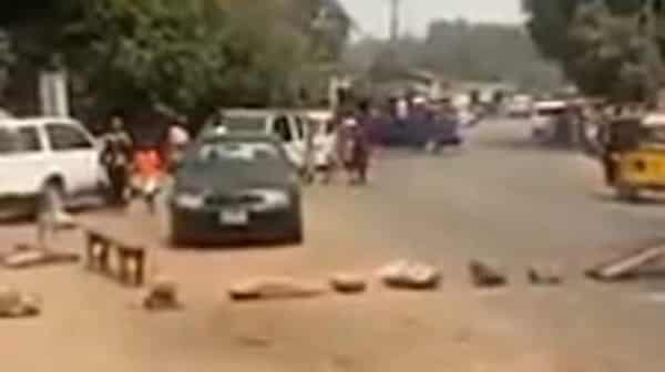 Screenshot_20220207-191913