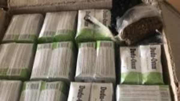 IMG-20220327-WA0019-225×300