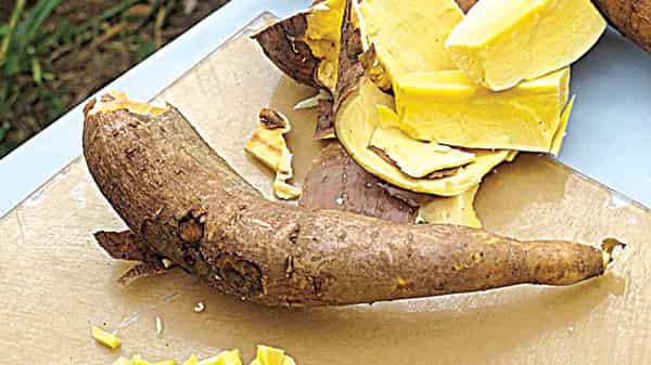 Vitamin-A-Cassava