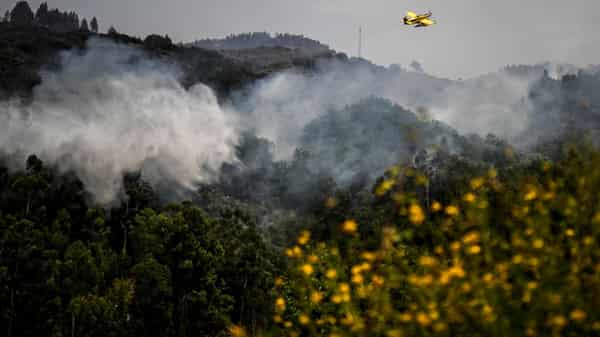 PORTUGAL-WILDFIRE-HEAT