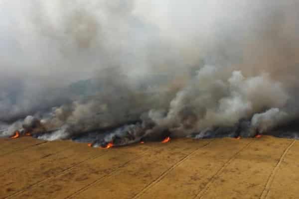 ce933b4ca8f6cd4799f23b4cc31df0073ffa9516-1658251097-bbe2e224-960×640