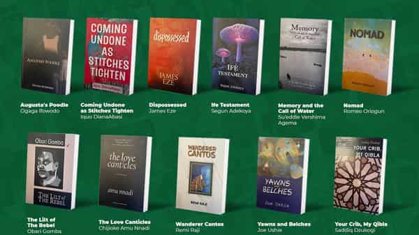 A-Nigeria-Prize—Litereature—Longlist-full-copy