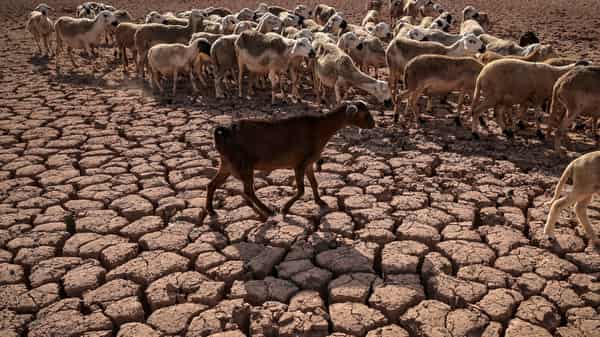 MOROCCO-CLIMATE-AGRICULTURE-WEATHER-DROUGHT