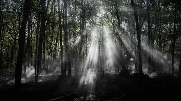 FRANCE-ENVIRONMENT-CLIMATE-WEATHER-WILDFIRE