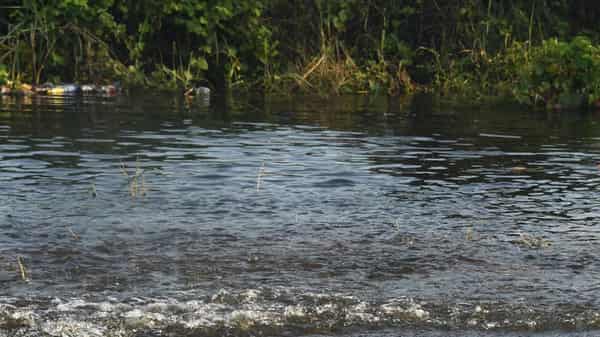 NIGERIA-FLOOD-ENVIRONMENT-WEATHER-CLIMATE