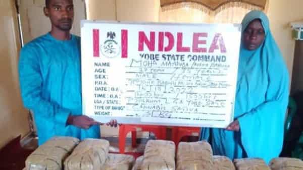 IMG-20221016-WA0009-1-e1665929089779