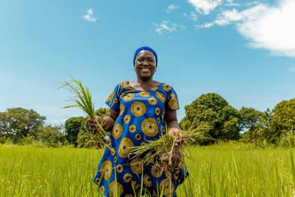  Nestlé partners with Africa Food Prize to strengthen food security and climate change resilience