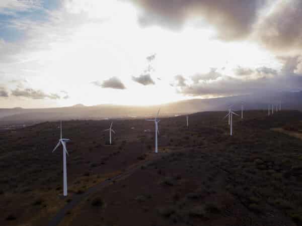 United Nations (UN) Cites African Development Bank as a World Model in Climate-Adaptation Finance