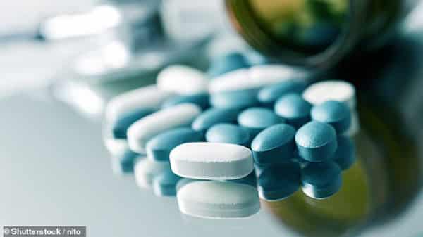 69074825-11898717-image-a-2_1679666003573