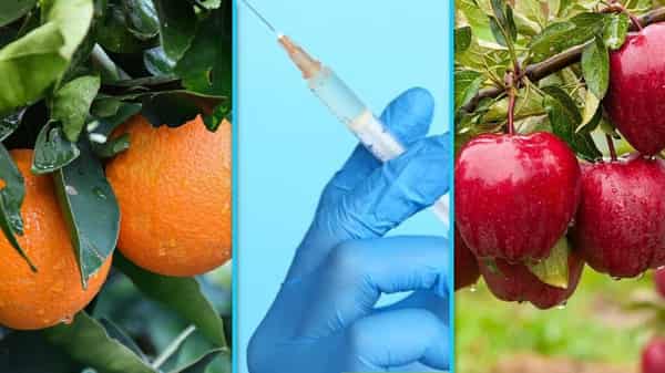 WhatsApp Image 2023-07-08 at 8.09.46 AM