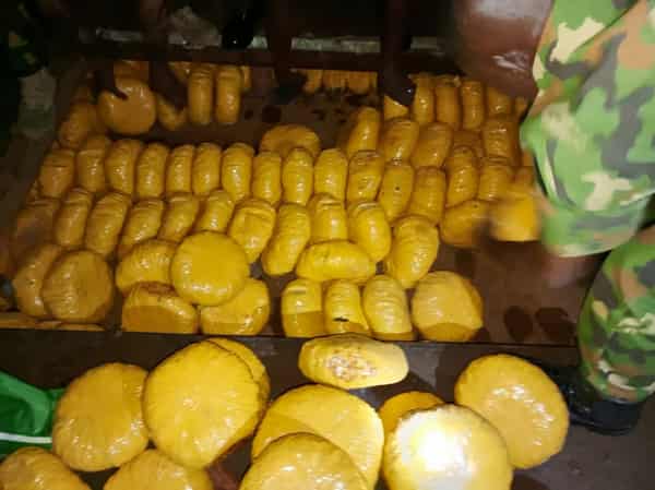 WhatsApp Image 2023-07-19 at 10.00.39 AM