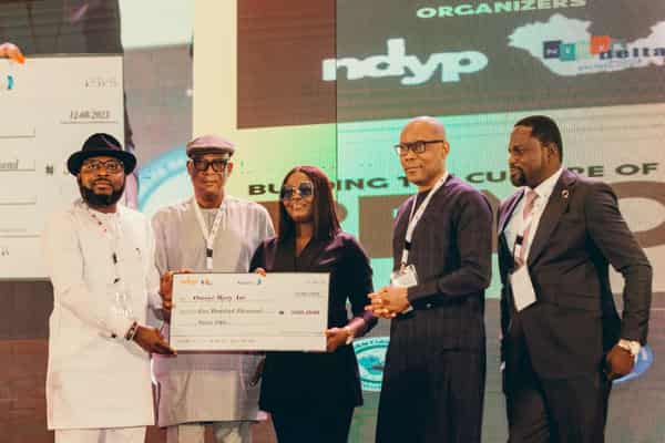 Niger Delta Youth Professionals