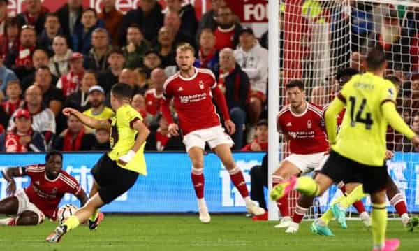 _131123699_amdouni-main