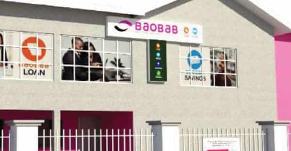 BAOBAB-MFB-BODIJA_03