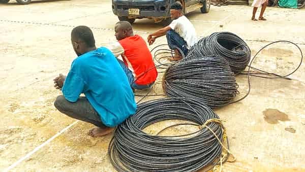 IMG-20230903-WA0008-01