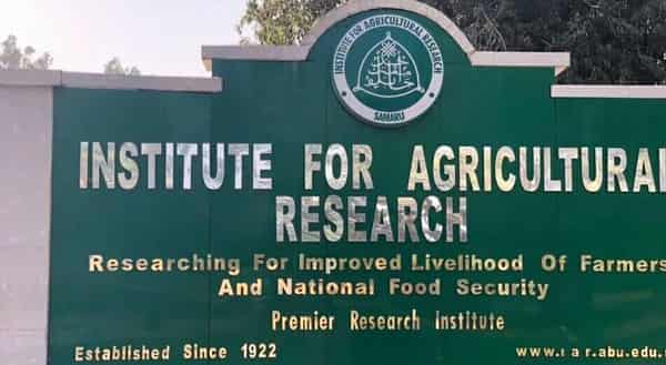 141958315_453796315991039_3160893157995352892_n