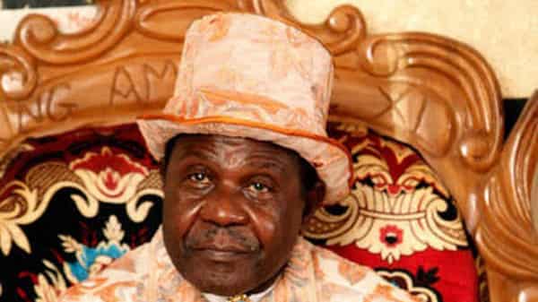 Prof-Theophilus-Princewill