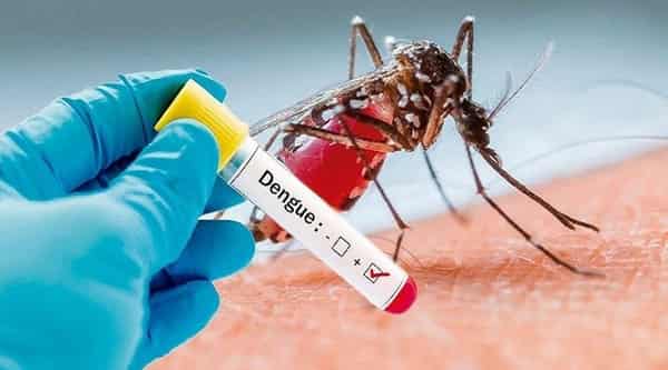 dengue infections