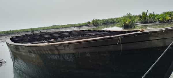 WhatsApp Image 2024-02-19 at 7.51.04 PM