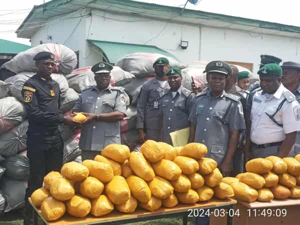 IMG_20240304_114909_9-1-scaled