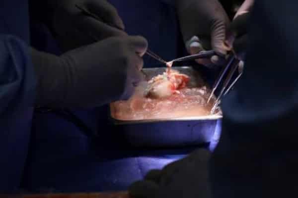 Screenshot 2024-03-21 at 20.11.55